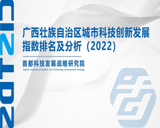 大鸡巴操操视频【成果发布】广西壮族自治区城市科技创新发展指数排名及分析（2022）